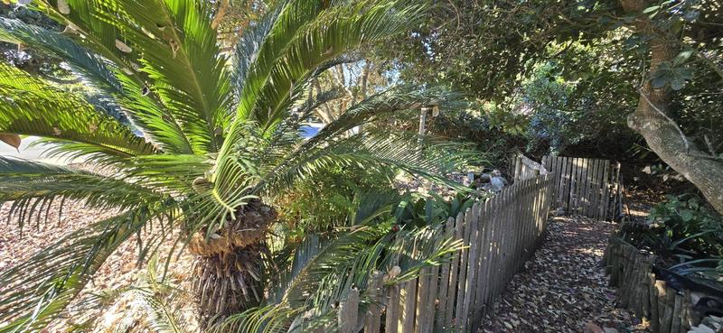4 Bedroom Property for Sale in Reebok Western Cape